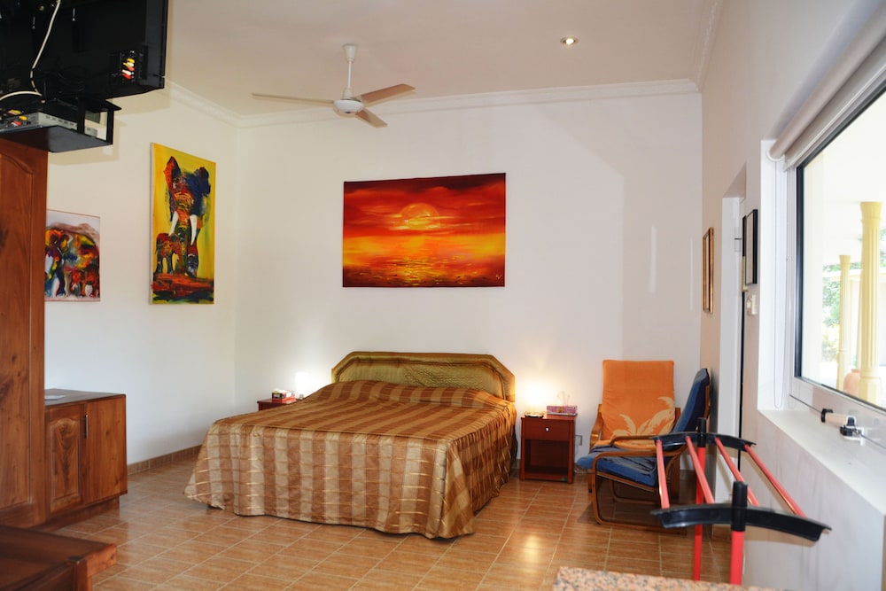 Deluxe Double Room photo 3