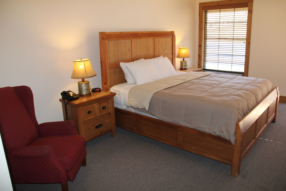 Room, 1 King Bed photo 1
