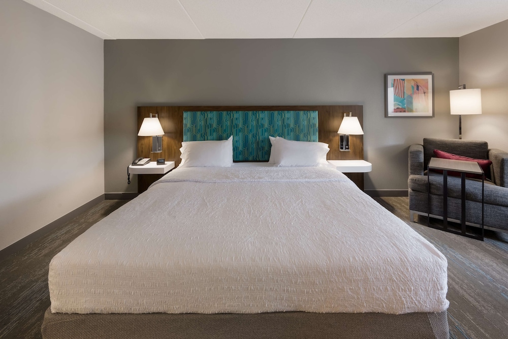 Room, 1 King Bed, Accessible (Mobility & Hearing) - Photo 3