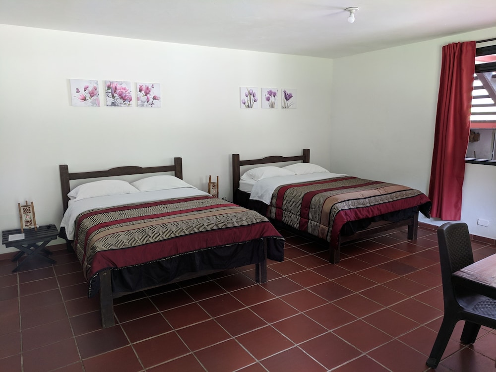 Twin Room photo 3