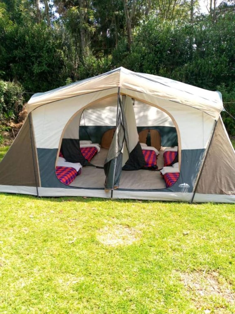 Deluxe Tent photo 2