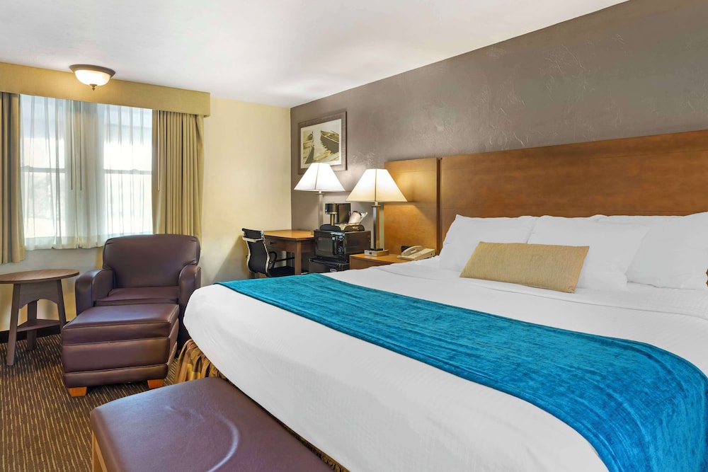 Standard Room, 1 King Bed, Non Smoking, Refrigerator & Microwave - Photo 4