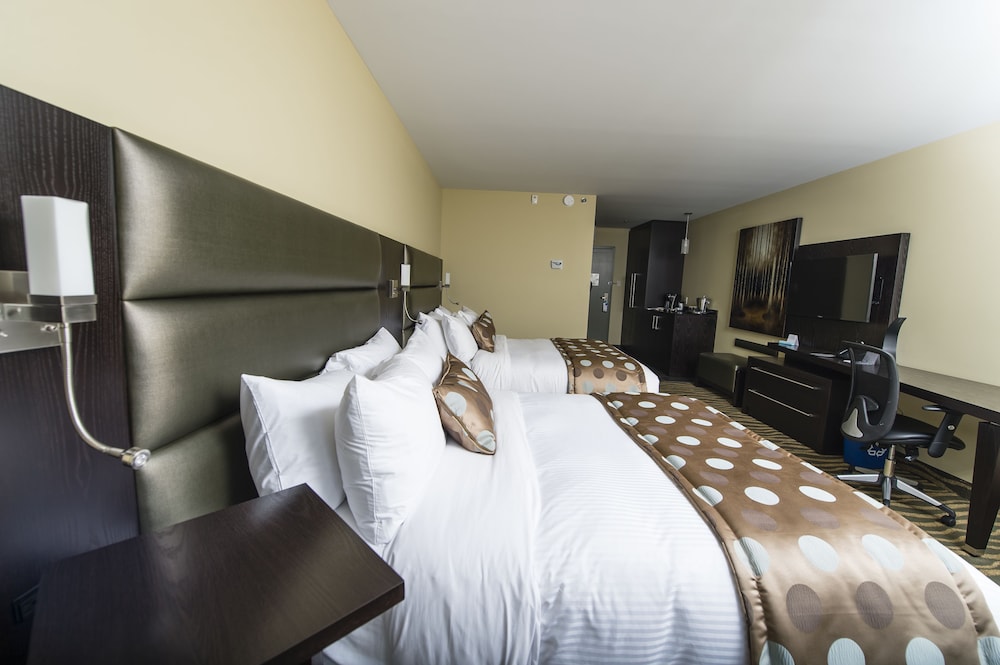 Terra room with 2 queen beds, parking view - Photo 2