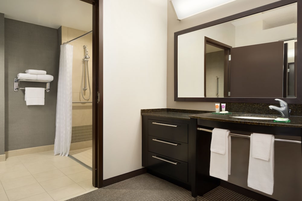 Room, 1 King Bed, Accessible (Shower) - Photo 5