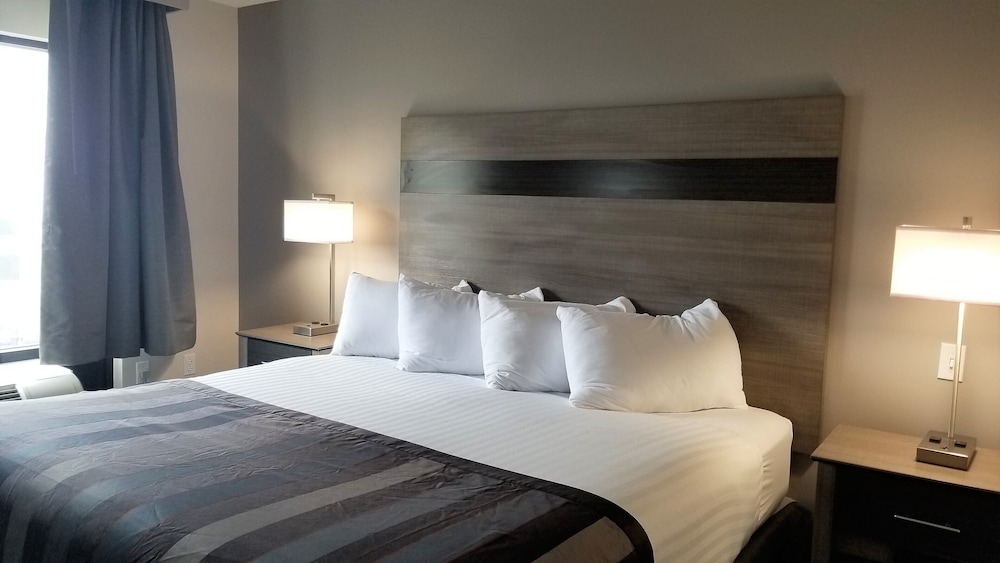 Suite, 1 King Bed - Photo 3