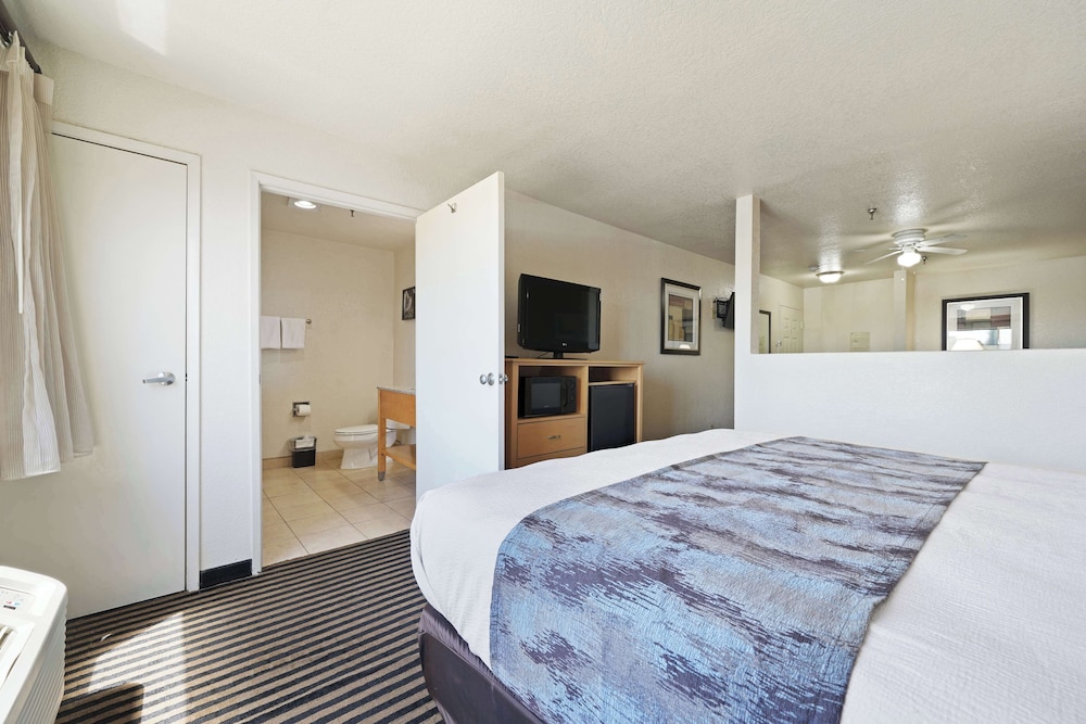 Suite, 1 King Bed, Non Smoking (Oversized Room;with Sofabed) - Photo 2
