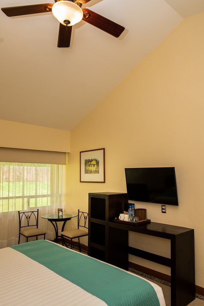 Executive Room - Photo 4