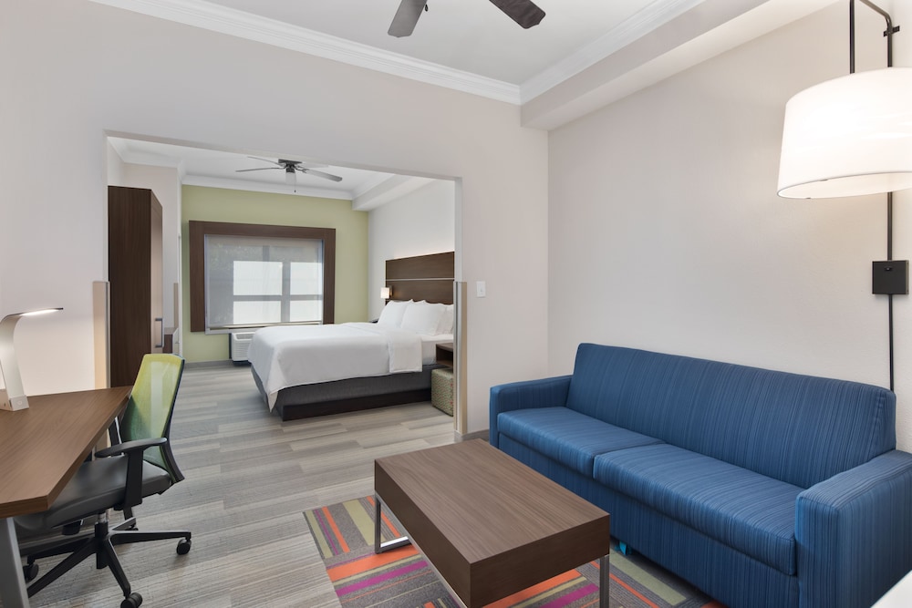 Suite, 1 King Bed - Photo 1