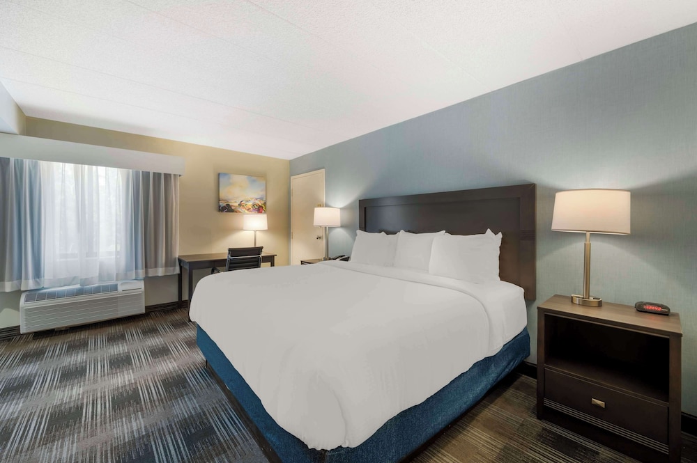 Standard Room, 1 King Bed, Accessible, Refrigerator & Microwave - Photo 7