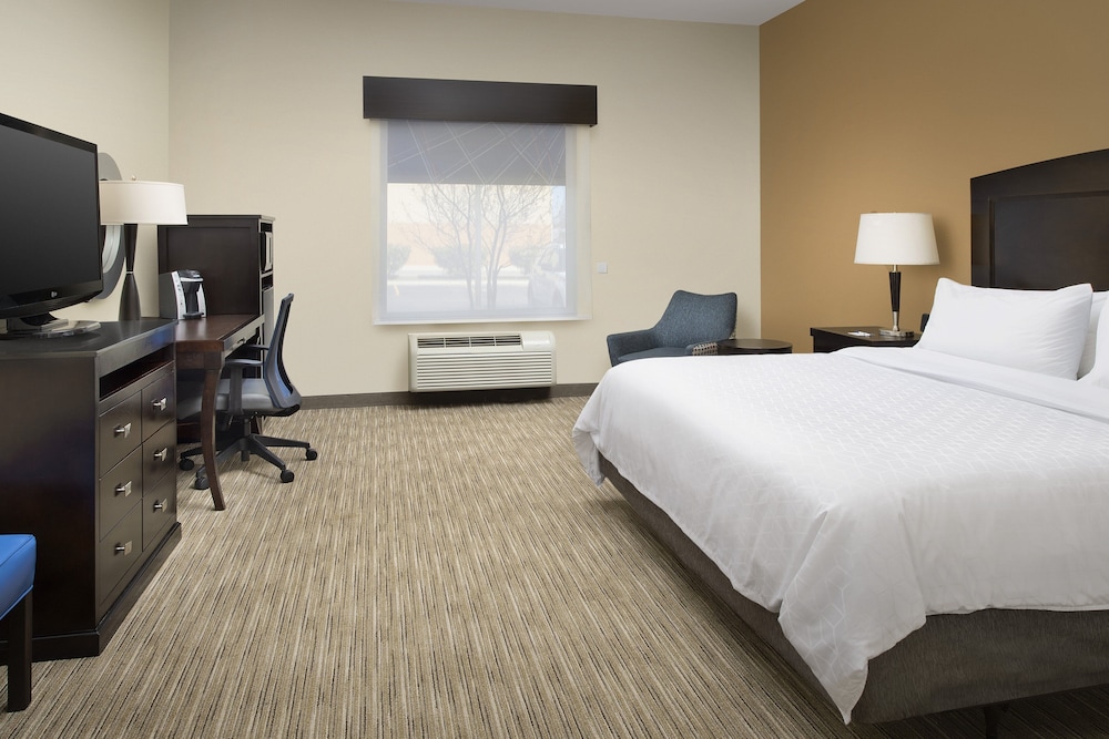 Standard Room, 1 King Bed, Accessible (Mobility, Roll-In Shower) - Photo 1