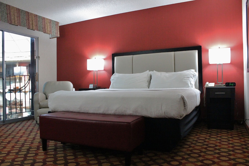 Standard Room, 1 King Bed (Holidome View) - Photo 3
