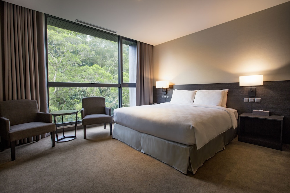 Premium Single Room
