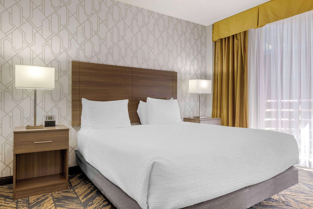 Standard Room, 1 King Bed, Accessible, Refrigerator & Microwave - Photo 3