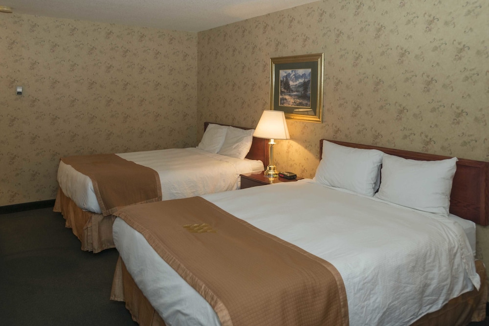 Traditional Double Room, 2 Queen Beds photo 1