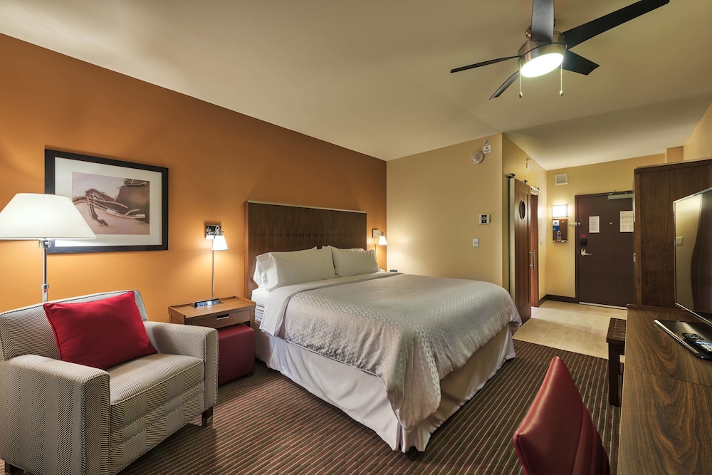 Room, 1 King Bed (Mobility Accessible, Tub) photo 2