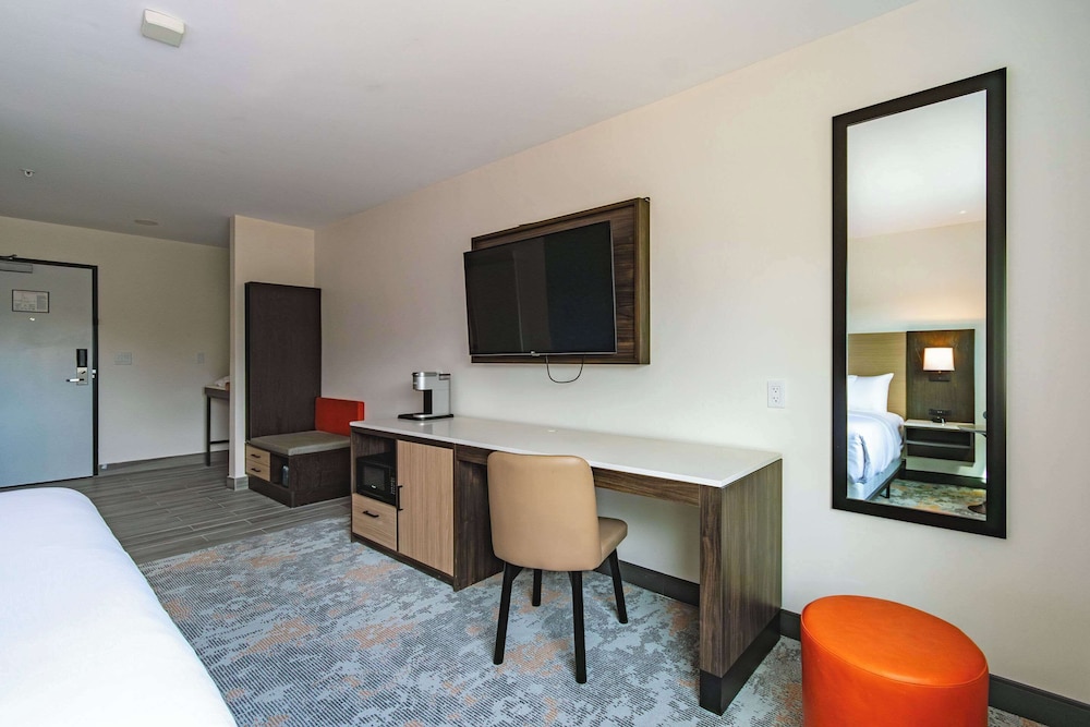 Room, 1 King Bed, Accessible, Non Smoking photo 3