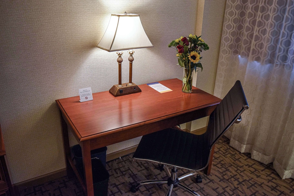 Room (King Bed) - Photo 4