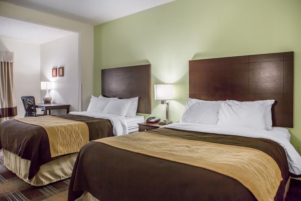 Comfort Inn Lexington South, Photo 3