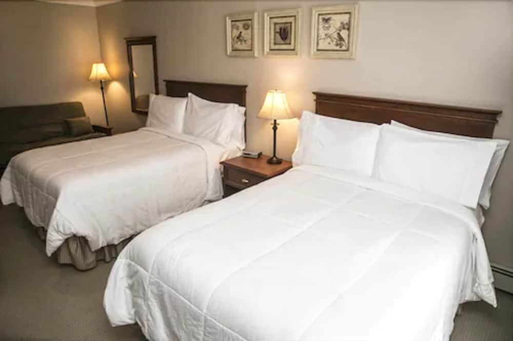 Standard Room, 2 Double Beds and Futon photo 1