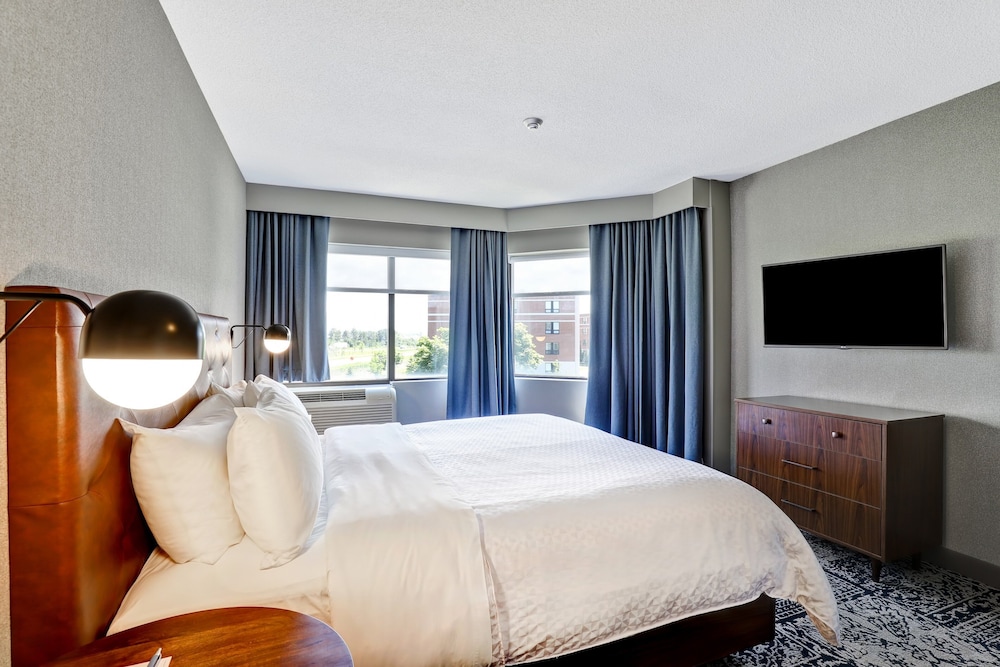 Suite, 1 King Bed with Sofa bed