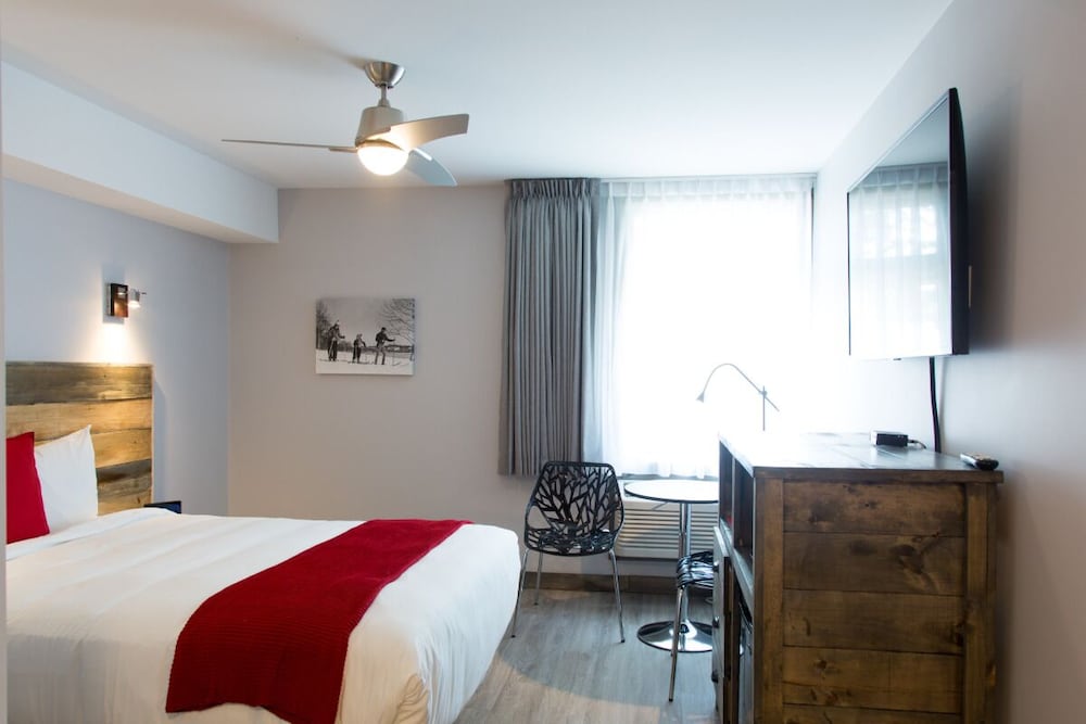 Room, 1 Queen Bed photo 1