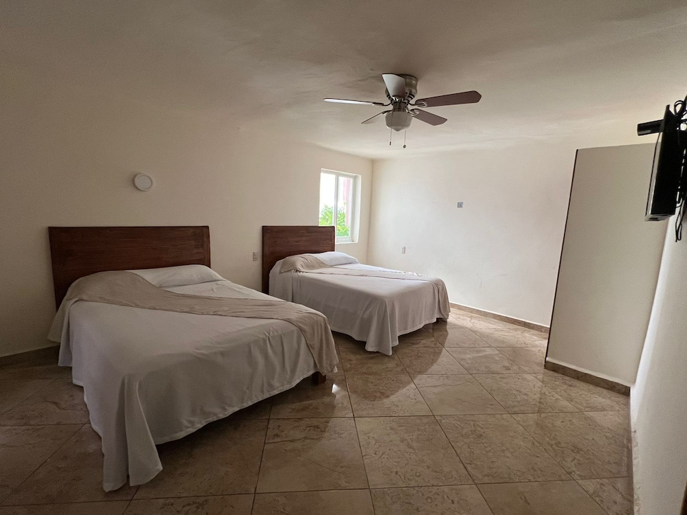 Standard Twin Room photo 1