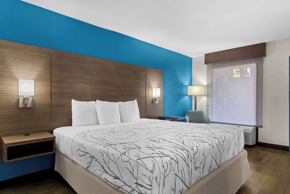Standard Room, 1 King Bed, Accessible, Refrigerator & Microwave photo 3