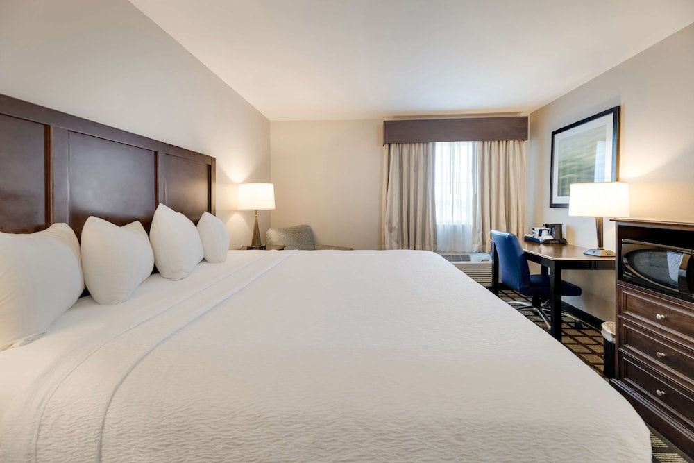 Standard Room, 1 King Bed, Non Smoking, Refrigerator & Microwave