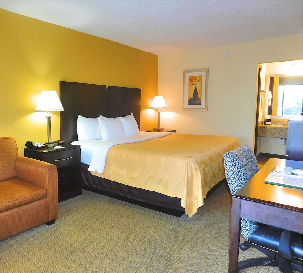 Room, 1 King Bed, Accessible, Non Smoking