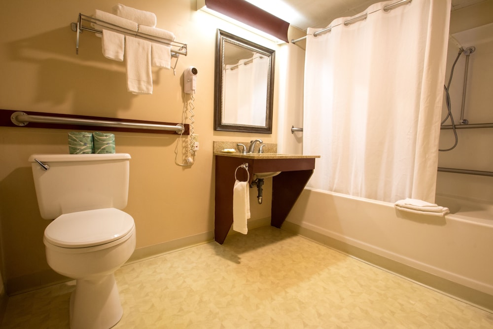 King Accessible Room - Photo 1