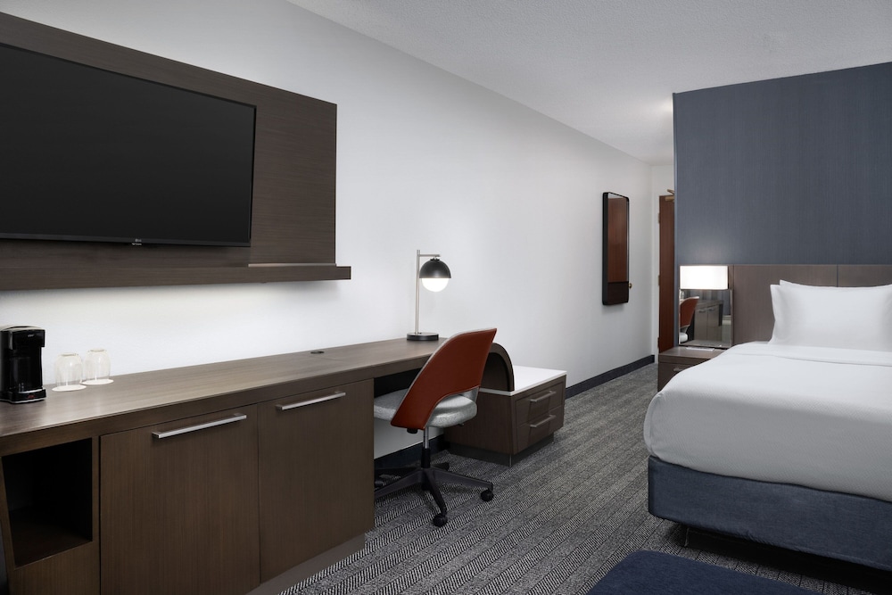 Room, 1 King Bed with Sofa bed (Hearing Accessible)
