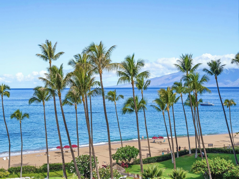 Condo, 2 Bedrooms, Ocean View (466)