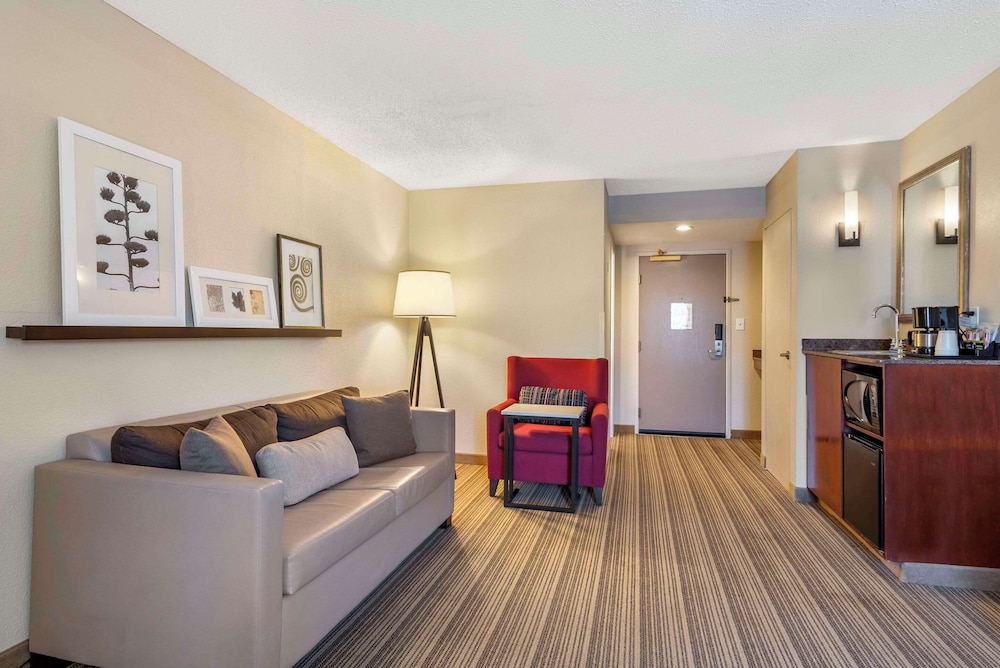 Studio, 1 King Bed with Sofa bed, Non Smoking (Roll-in Shower)