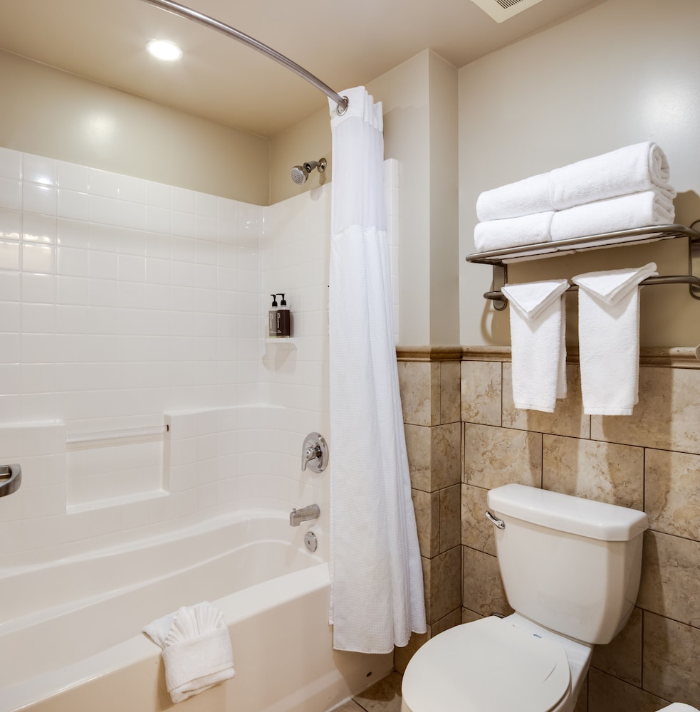 Studio Suite, Multiple Beds - Photo 4