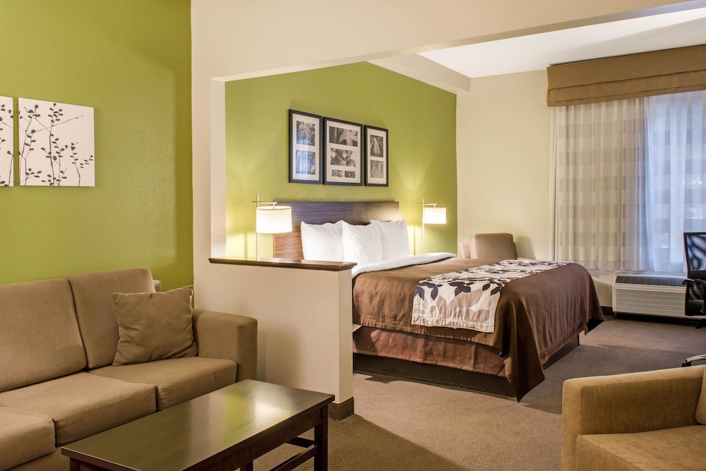 Suite, 1 King Bed with Sofa bed, Accessible, Non Smoking photo 3