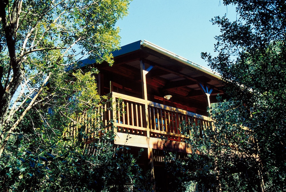 Cabin, 1 Queen Bed, Mountain View photo 2