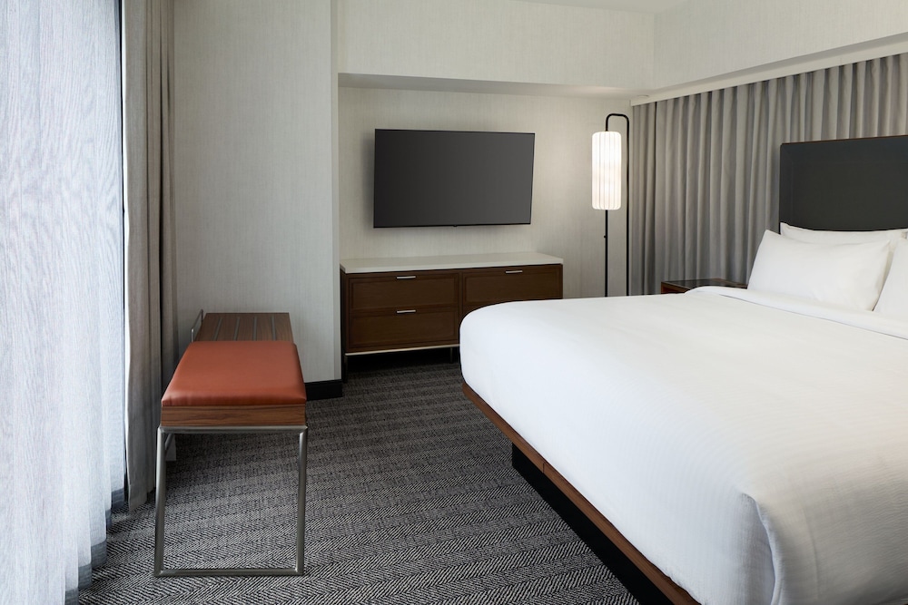 Suite, 1 King Bed with Sofa bed