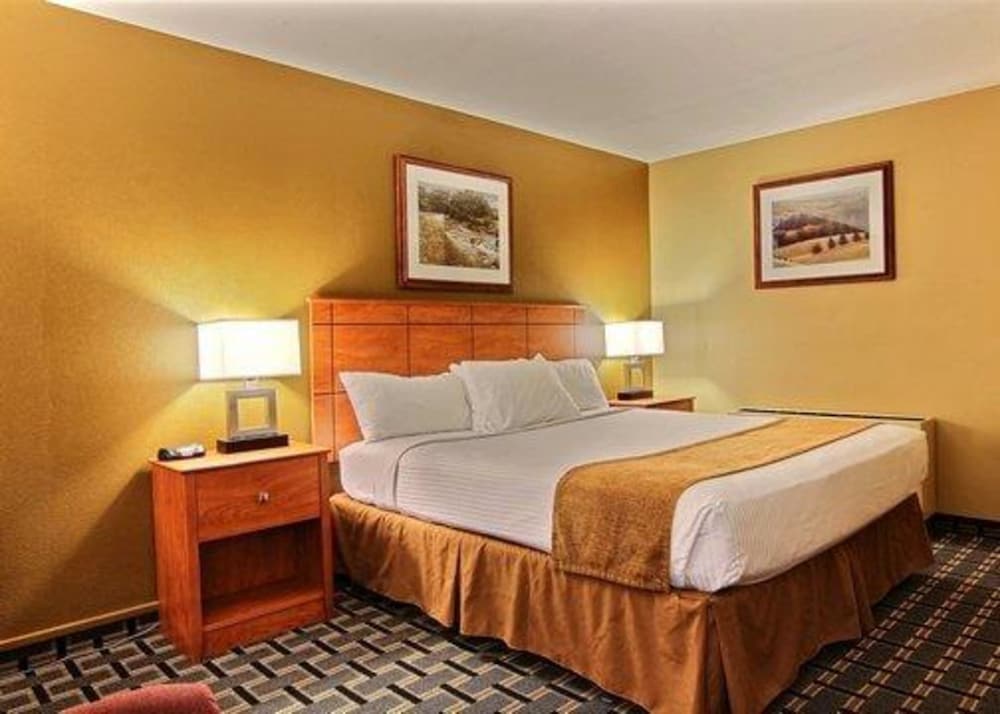 Standard Room, 1 King Bed, Non Smoking photo 2