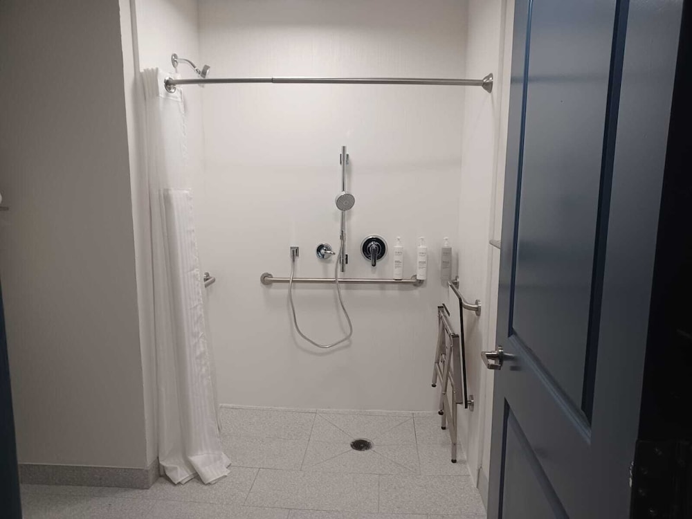 Room, 1 King Bed, Accessible (Mobility & Hearing, Roll-in Shower) - Photo 1