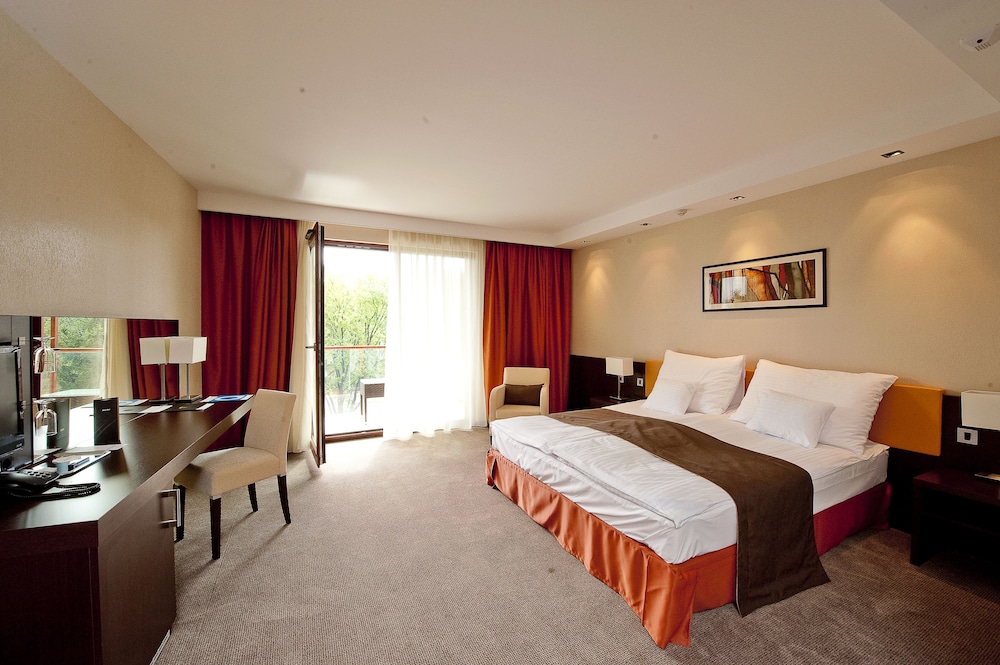 Deluxe Suite photo 1