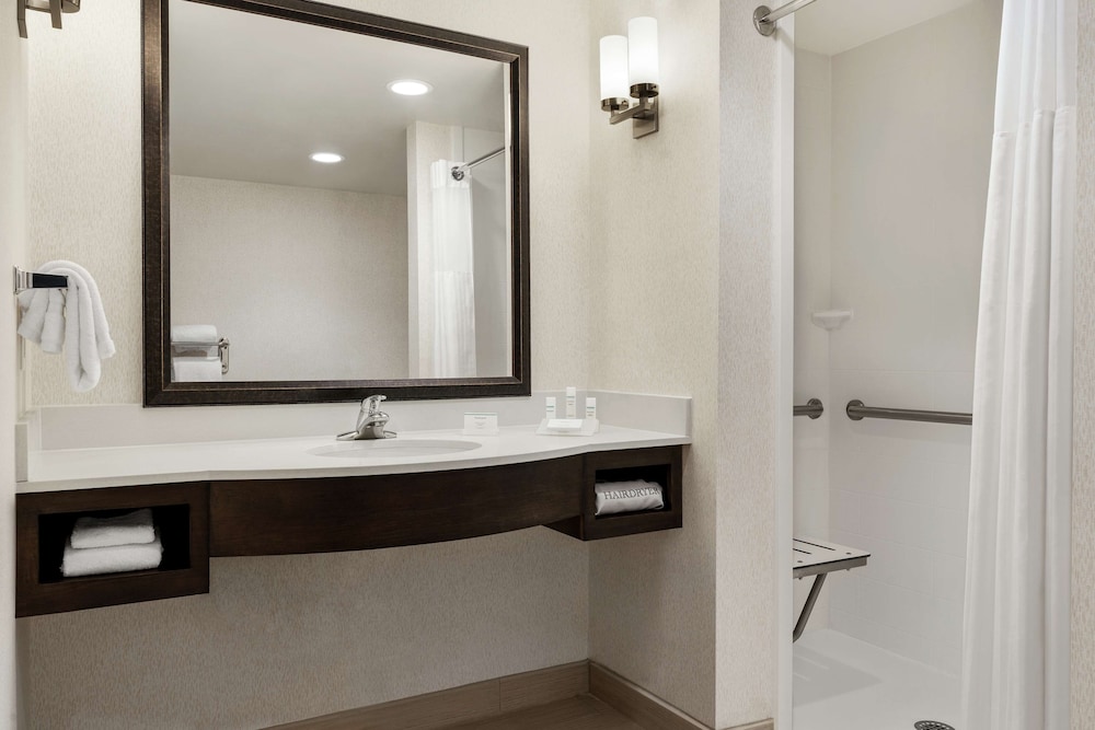 Room, 1 King Bed, Accessible (Roll in shower) photo 3