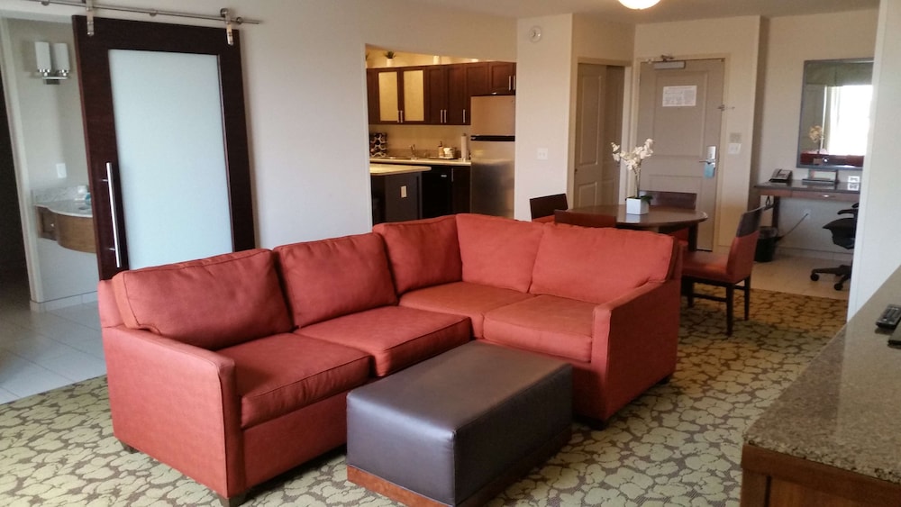 Deluxe Suite, 1 King Bed photo 1