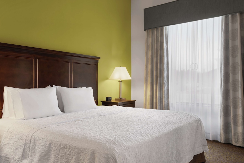 Room, 1 King Bed, Accessible (Mobility & Hearing, Roll-In Shower) photo 2