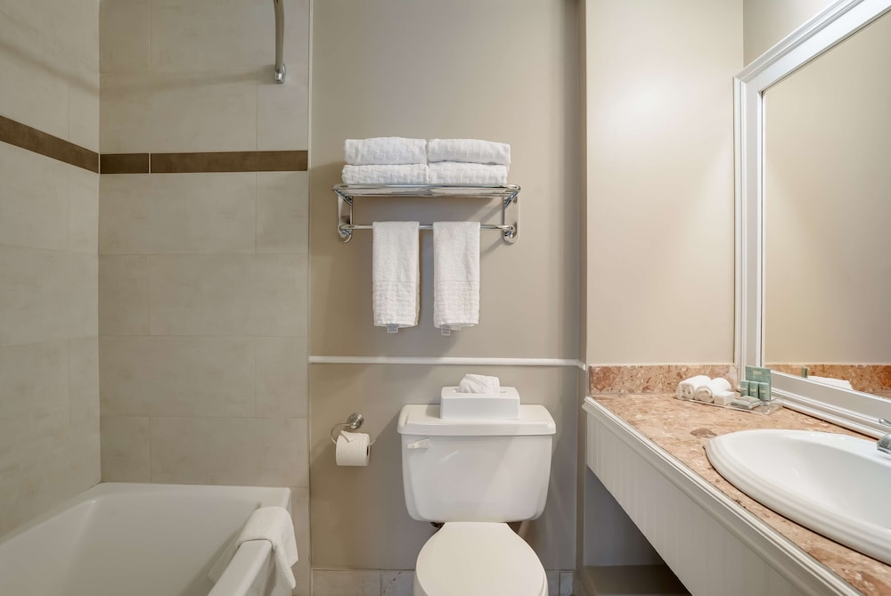 Deluxe Room, 1 King Bed, Non Smoking - Photo 6
