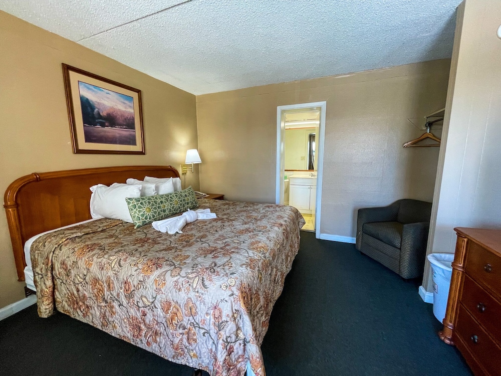 Room, 1 King Bed, Non Smoking (Side View) photo 1