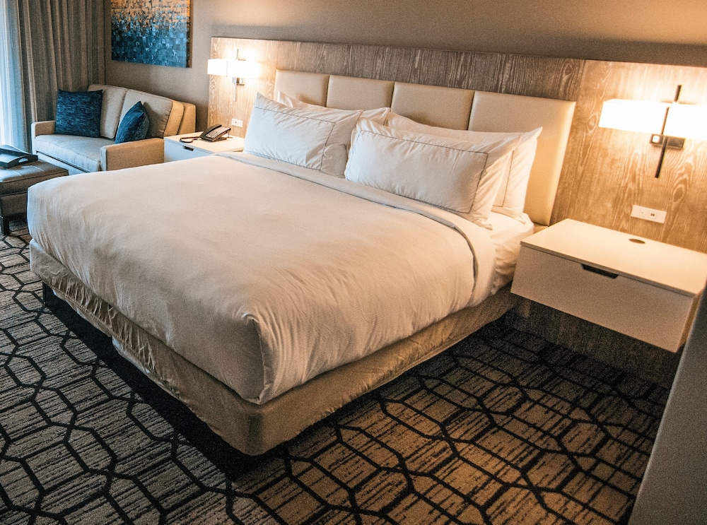 Suite, 1 King Bed (Mobility & Hearing, Roll-in Shower) - Photo 2