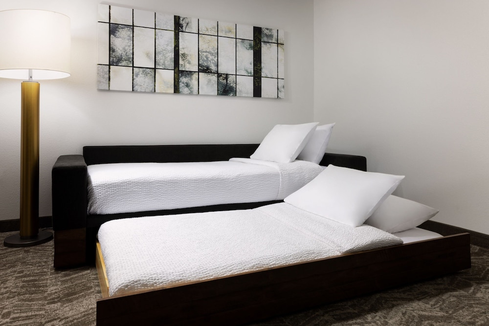 Suite - Photo 3