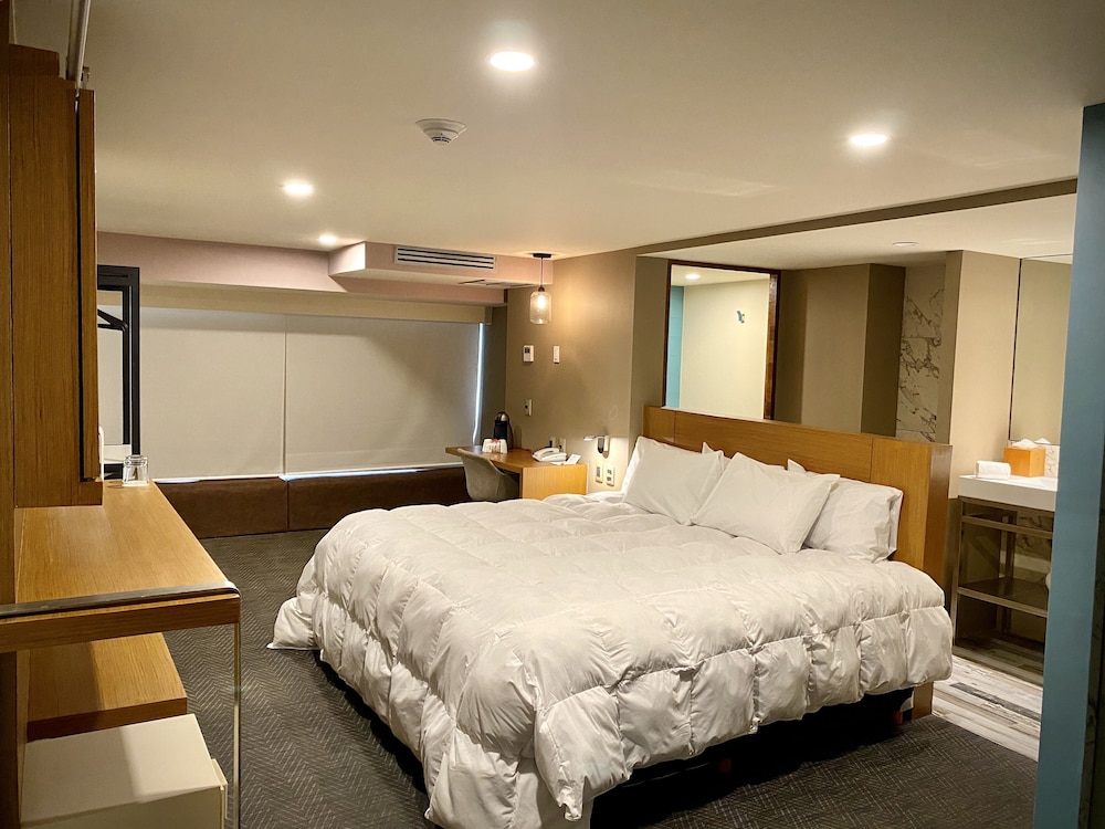 Superior Suite - Photo 3