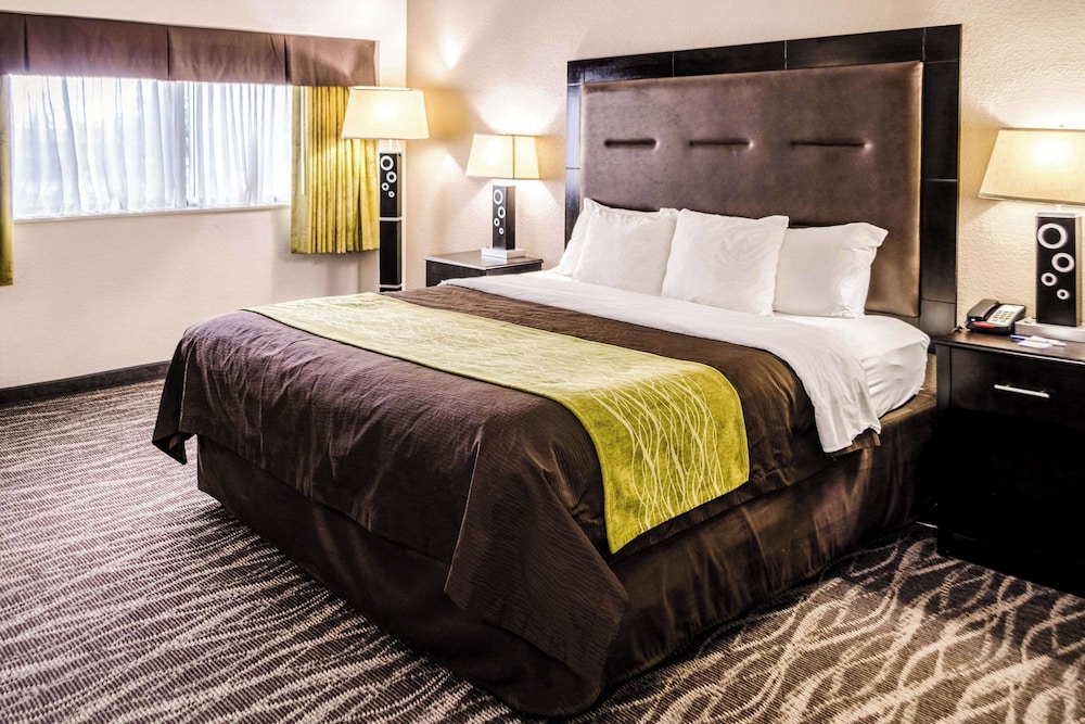 Suite, 1 King Bed With Sofa Bed, Non Smoking photo 2