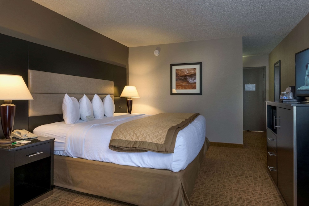 Room, 1 King Bed, Non Smoking photo 1